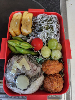 マスターボールおにぎり-レシピのメイン写真