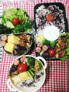 家族弁当♡ダイエット弁当&鶏ねぎ塩7/6-レシピのメイン写真