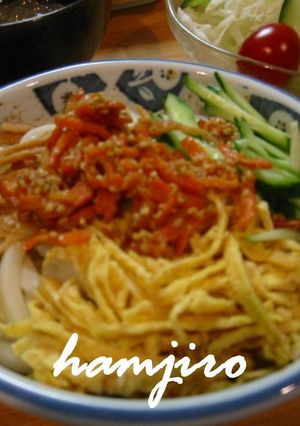 何でものせちゃえ♪冷やしうどんⅡ-レシピのメイン写真