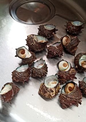 ゴリゴリ食感いつまでも。サザエの醤油漬け-レシピのメイン写真