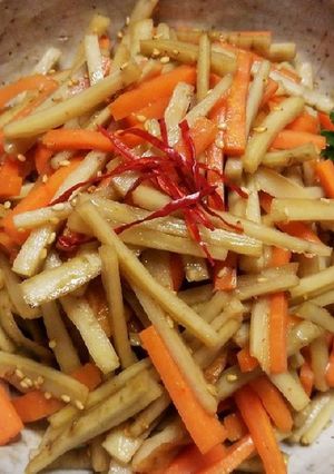 食物繊維を摂ろう✨基本のきんぴらごぼう-レシピのメイン写真