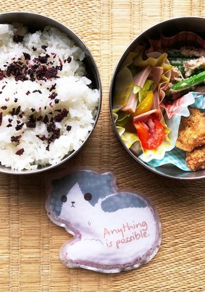 怒涛のお弁当生活48日目-レシピのメイン写真