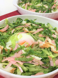 野菜を取ろう!あっさりサラダソーメン-レシピのメイン写真