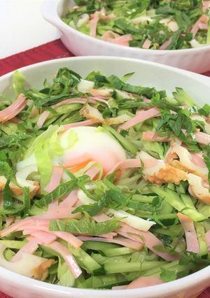 野菜を取ろう！あっさりサラダソーメン-レシピのメイン写真