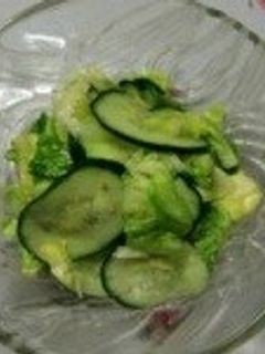 キャベツときゅうりの梅昆布茶和え-レシピのメイン写真