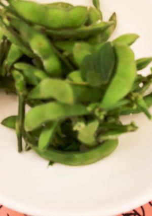 新鮮な枝豆は枝ごと茹でて、風味豊かに美味-レシピのメイン写真
