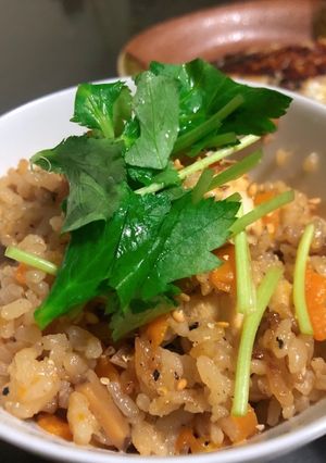 鶏むね肉と生姜の炊き込みごはん-レシピのメイン写真