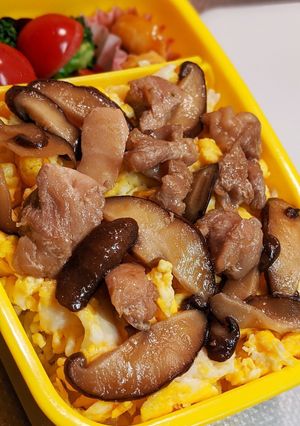 親子弁当-レシピのメイン写真