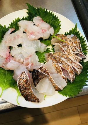 釣った キジハタ アコウ (初めて)-レシピのメイン写真