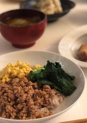 発酵三色丼-レシピのメイン写真