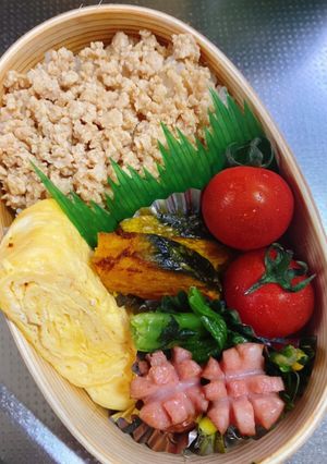 鶏そぼろ弁当-レシピのメイン写真