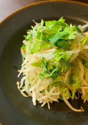 炒めない＊もやしのにんにく炒め風-レシピのメイン写真