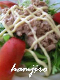 ツナと水菜の冷やしうどん-レシピのメイン写真