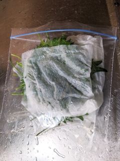 大葉の保存方法-レシピのメイン写真