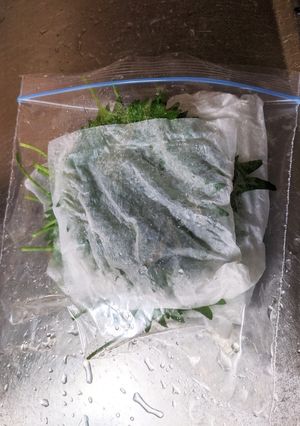 大葉の保存方法-レシピのメイン写真
