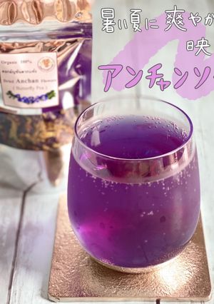 アンチャン(バタフライピー)コーディアル-レシピのメイン写真