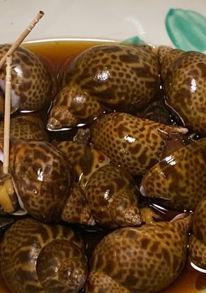 「基本」ばい貝の煮付け(時短三分)圧力鍋-レシピのメイン写真