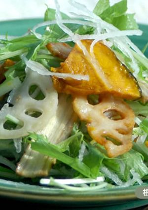 根菜と水菜のサラダ-レシピのメイン写真