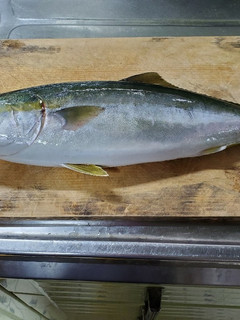 魚のさばき方-レシピのメイン写真