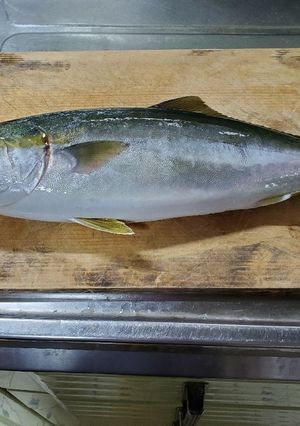 魚のさばき方-レシピのメイン写真