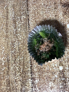 お弁当にレンチンでほうれん草お浸し-レシピのメイン写真