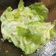 包丁いらず❢やみつきレタス