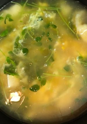 節約豆苗レシピ-レシピのメイン写真