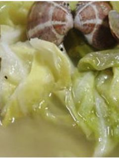 アサリとキャベツのスープ-レシピのメイン写真