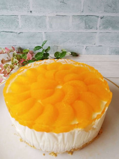 みかんヨーグルトレアチーズケーキ-レシピのメイン写真