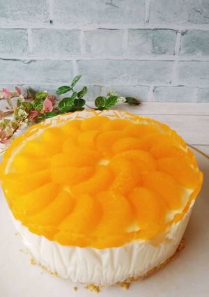 みかんヨーグルトレアチーズケーキ-レシピのメイン写真