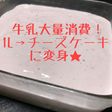 牛乳大量消費!牛乳1L→レアチーズケーキ