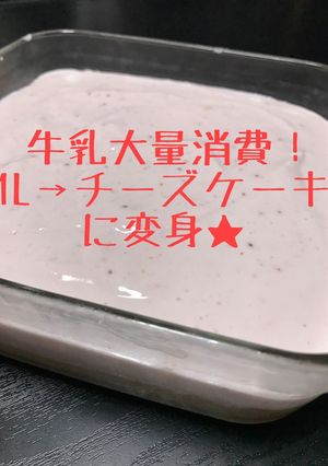 牛乳大量消費！牛乳1L→レアチーズケーキ-レシピのメイン写真