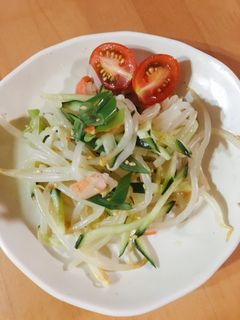 モヤシの中華サラダ-レシピのメイン写真