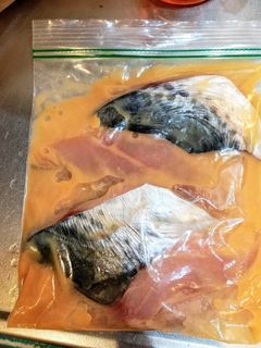 サゴチ(サワラ)の西京漬け風-レシピのメイン写真