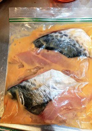 サゴチ(サワラ)の西京漬け風-レシピのメイン写真