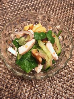 パクチーと鶏胸肉のサラダ-レシピのメイン写真