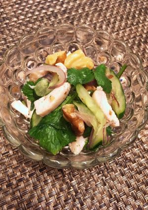 パクチーと鶏胸肉のサラダ-レシピのメイン写真