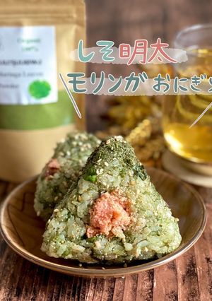 しそ明太モリンガおにぎり-レシピのメイン写真