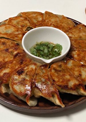 お店みたい！簡単餃子の焼き方！-レシピのメイン写真