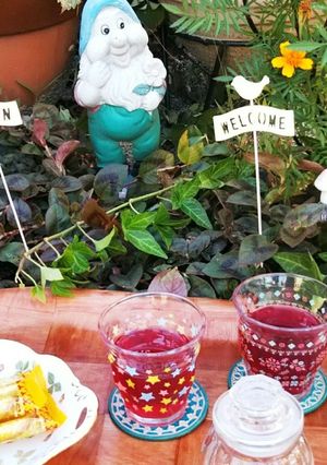 アリエッティと飲みたい☆赤紫蘇ジュース-レシピのメイン写真