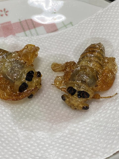 セミの素揚げ-レシピのメイン写真