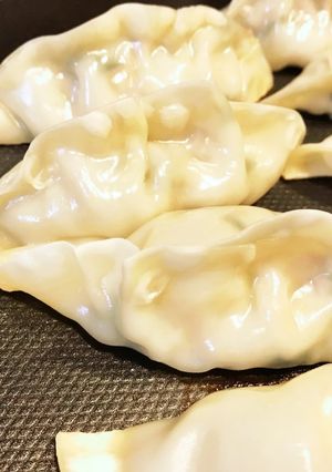ズボラさんのホットプレート餃子-レシピのメイン写真