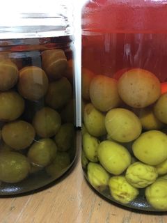 梅酒・梅ジュース 2020〜2021-レシピのメイン写真