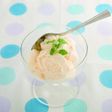ミキサーを使って!バニラアイスクリーム