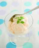ミキサーを使って！バニラアイスクリーム