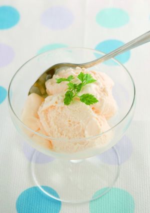 ミキサーを使って！バニラアイスクリーム-レシピのメイン写真