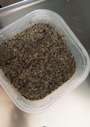 おからパウダーの蒸しパン-レシピのメイン写真