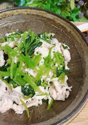 副菜に♡三つ葉とささみの辛子醤油♪-レシピのメイン写真