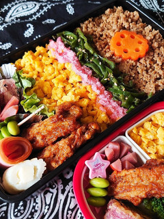 2020/7/14 そぼろ弁当-レシピのメイン写真
