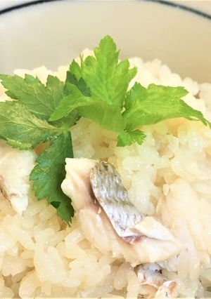 コラーゲン鯛めし【本クエだし】:よか魚-レシピのメイン写真